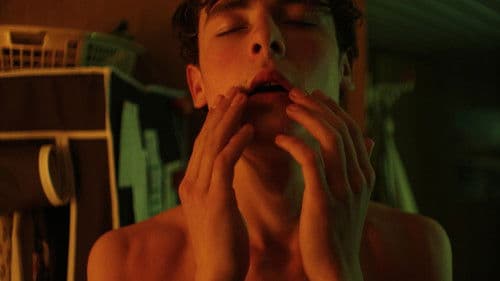 Mooie Alexander Bild 4