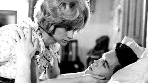 Die Lederjungen Bild 2