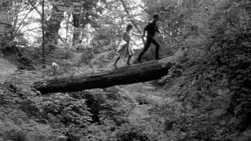 The Bitter Ash Bild 1