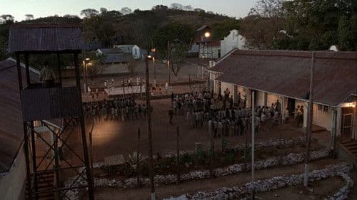 Im Glanz der Sonne Bild 8