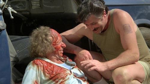 Der Sanfte mit den schnellen Beinen Bild 1