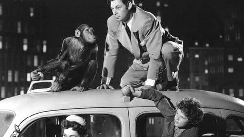 Tarzans Abenteuer in New York Bild 6