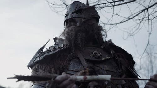 Viking Vengeance Bild 4