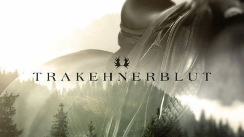 Gestüt Hochstetten Bild 2