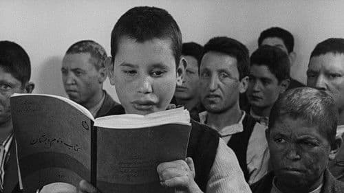 Das Haus ist schwarz Bild 2