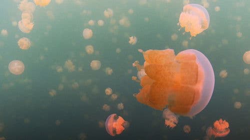 Wunder des Lebens Bild 3