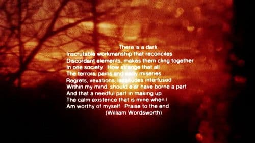 Illuminated Texts Bild 6