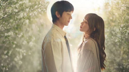 찬란한 너의 계절에 Bild 1