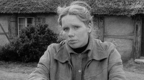 Die Stunde des Wolfs Bild 2