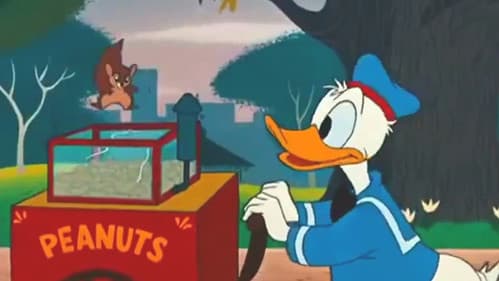 Das fliegende Eichhörnchen Bild 1