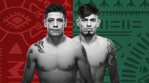 UFC Fight Night 237: Moreno vs. Royval 2 Bild 1