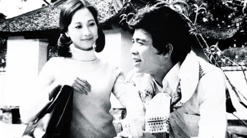 Hà Nội mùa chim làm tổ Bild 1