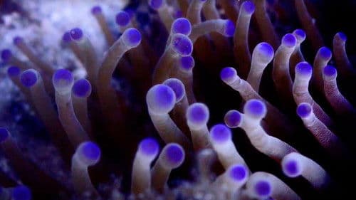 Pueblos de Arrecife Bild 1