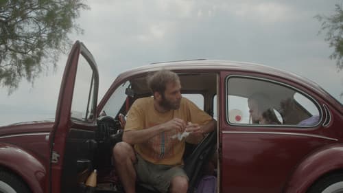 Days of a Lilac Summer Bild 1