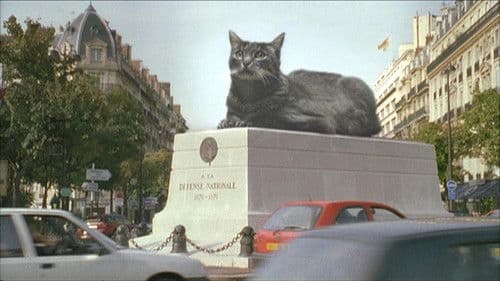 Le Lion volatil Bild 2