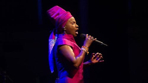 Angélique Kidjo : 40 ans de carrière Bild 8