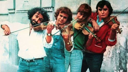 Arrivano i gatti Bild 1