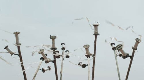 I Am Not a Witch Bild 4