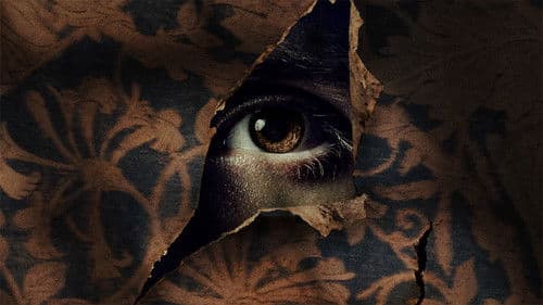 Boy in the Walls Bild 1