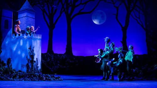 Sprookjesboom de Musical Bild 3