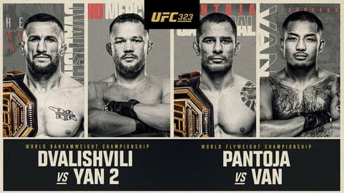 UFC 323: Dvalishvili vs. Yan 2 Bild 6