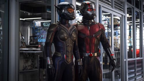 Ant-Man and the Wasp Bild 8