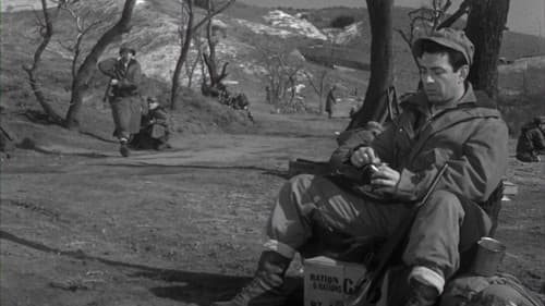 Feuerschutz für Stoßtrupp Berta Bild 1