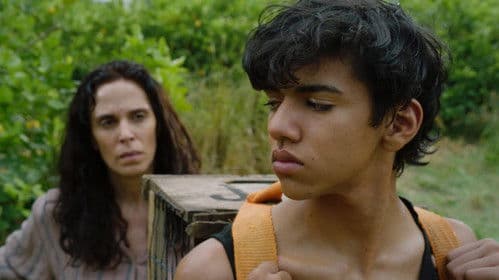 Siempre vuelven Bild 4