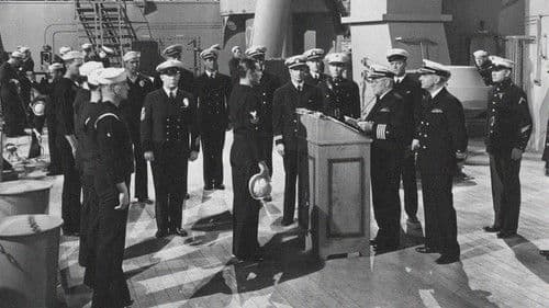 Sailor's Lady Bild 2