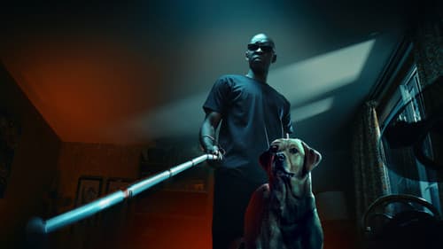 Le Roi des Ombres Bild 2