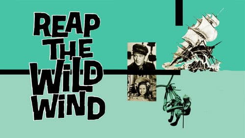 Piraten im karibischen Meer Bild 2