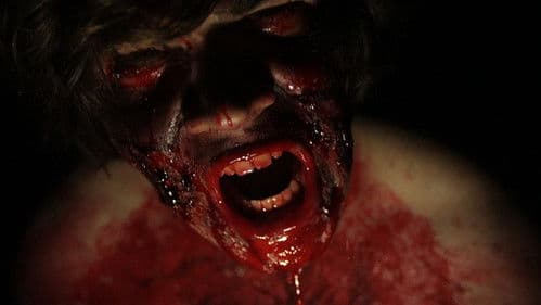 Friends Don't Let Friends Bild 4