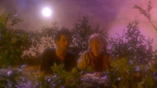 Twilight of the Ice Nymphs Bild 1