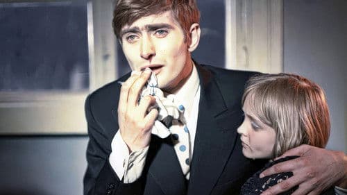 Das Birkenwäldchen Bild 7