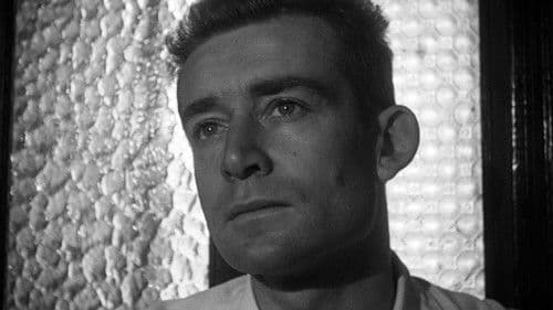 Les Oliviers de la justice Bild 1