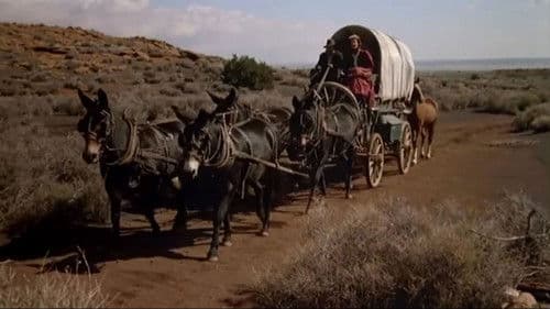 The Quick and the Dead Bild 2