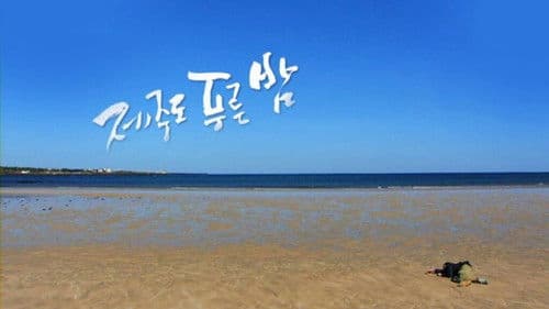 드라마 시티: 제주도 푸른밤 Bild 1