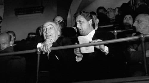 Mi permette babbo! Bild 4