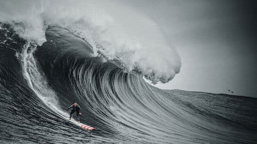 100 Foot Wave Bild 2