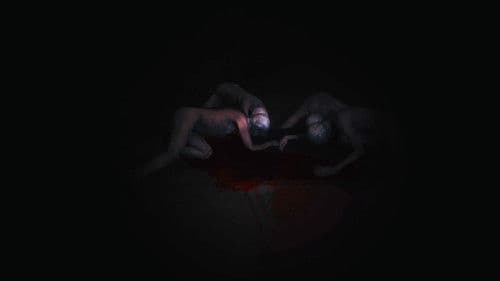 デスフォレスト 恐怖の森3 Bild 2