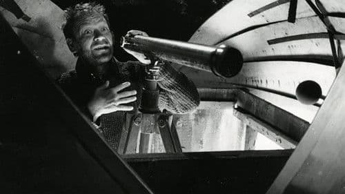 Lammas all paremas nurgas Bild 2