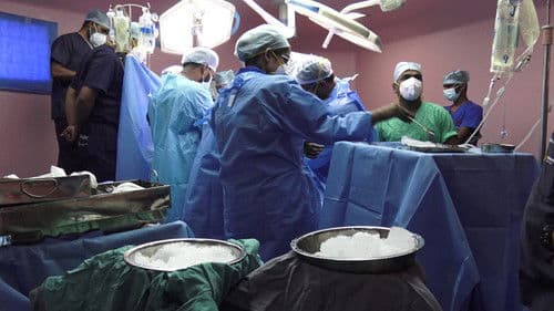 God Vulture and Human Bild 1