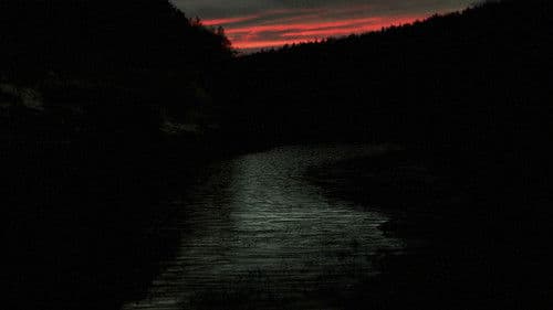 Sleep Has Her House Bild 7