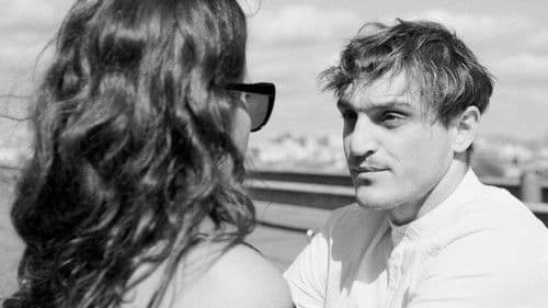 Figaros Wölfe Bild 1