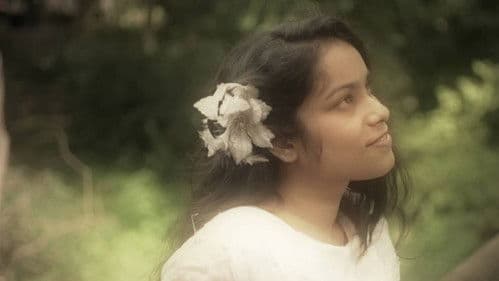 കളിപ്പാട്ടക്കാരന്‍ Bild 1