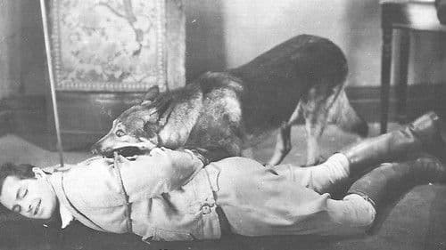 The Adventures of Rex and Rinty Bild 1