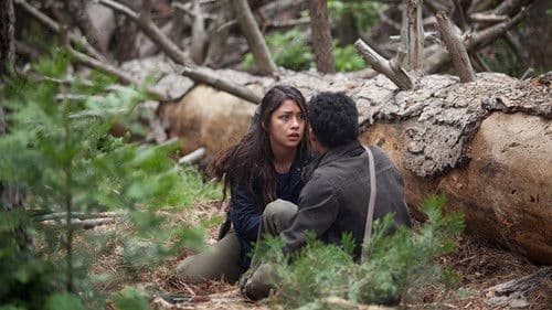 What Still Remains Bild 1