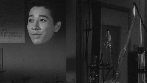 透明人間と蝿男 Bild 5