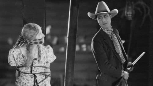 Shooting Stars Bild 1