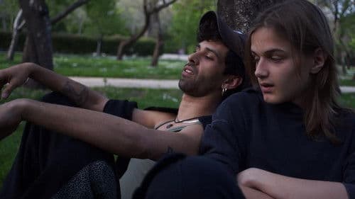 Cupido confuso Bild 1